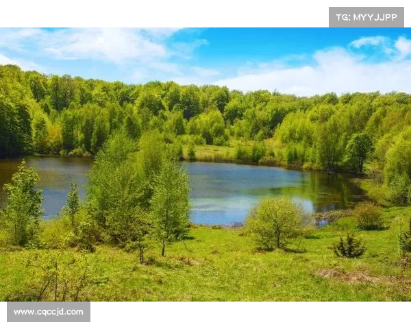在永歌森林中畅游自然秘境感受生命的脉动与和谐之美 在永歌森林中畅游自然秘境感受生命的脉动与和谐之美