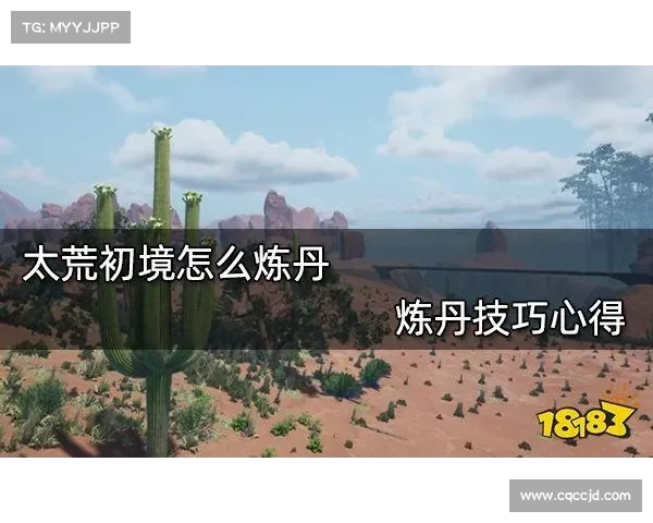 全新服务器开启后如何快速上手游戏技巧与心得分享