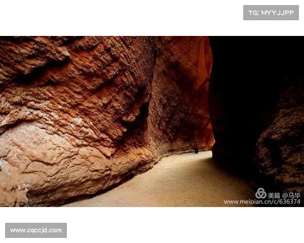 揭开朱雀天境隐藏真相全面解析神秘副本的通关秘诀 揭开朱雀天境隐藏真相全面解析神秘副本的通关秘诀