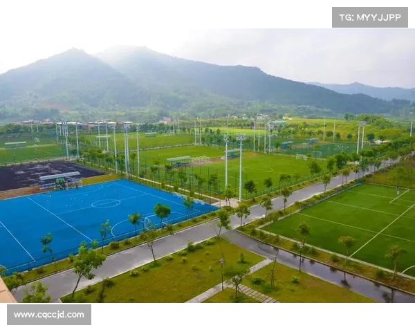 如何借鉴阿贾克斯青训模式打造世界级足球人才培养体系