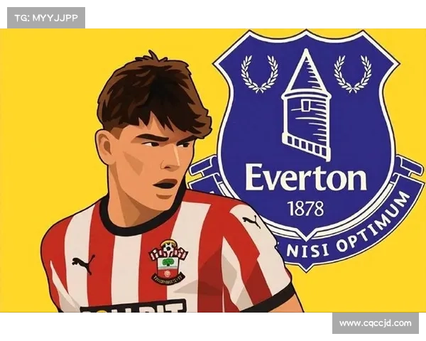 如何评估英超球队引进迪布林的潜力及其对球队未来发展的影响