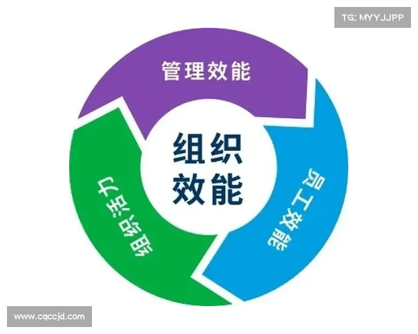提升斯坦福桥组织效能的战略路径与实践方案解析