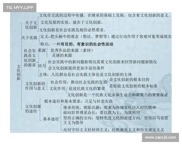 斯坦福桥五大组织特点解析：结构、文化、战略、管理与创新的深度剖析